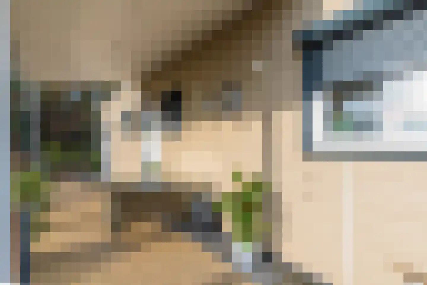 Dorperheideweg 34 2054 Arcen thumbnail 15