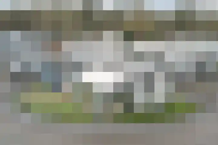 Dorperheideweg 34 2104 Arcen thumbnail 33