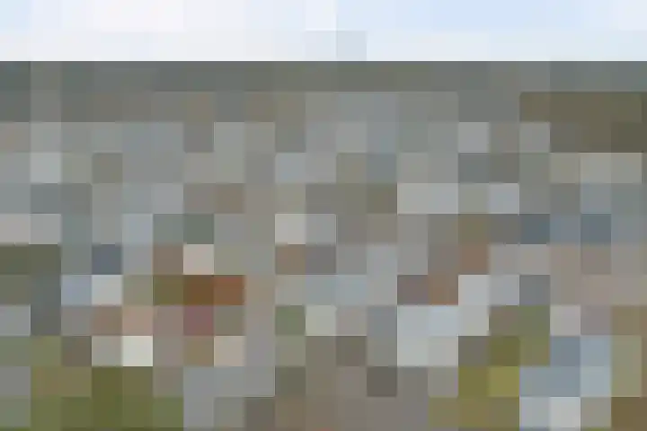 Dorperheideweg 34 2104 Arcen thumbnail 36