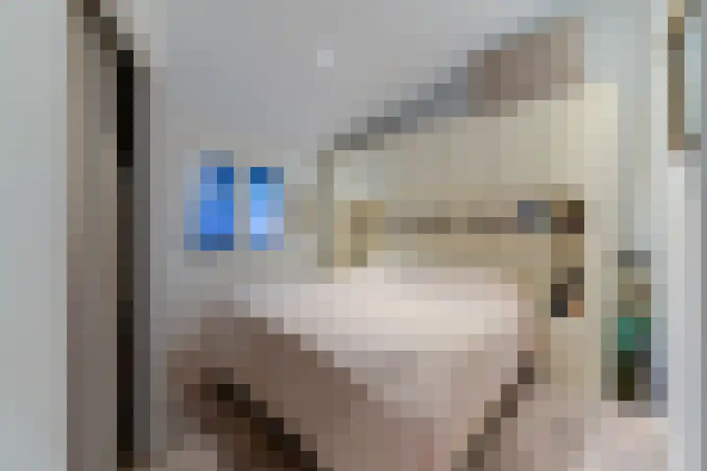 Dorperheideweg 34 2112 Arcen thumbnail 11