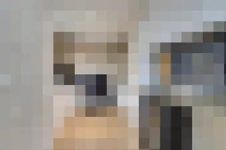Dorperheideweg 34 2114 Arcen thumbnail 12