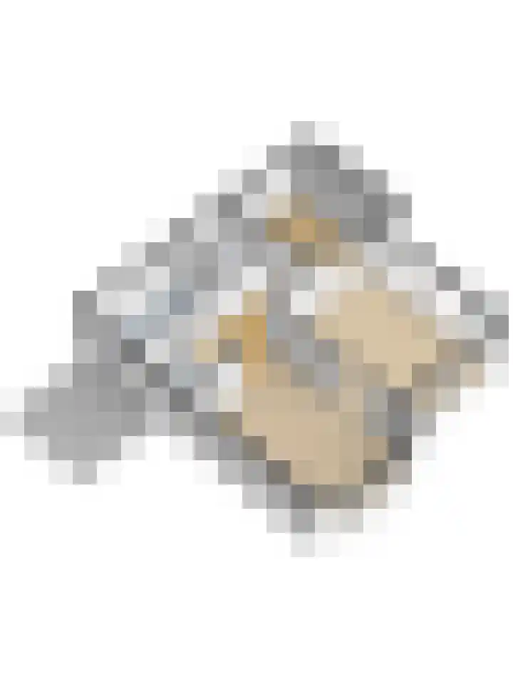 Dorperheideweg 34 2114 Arcen thumbnail 32