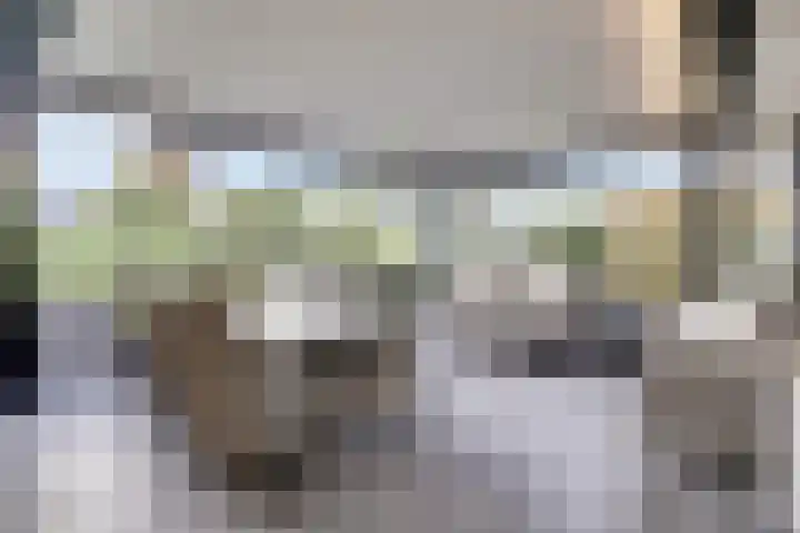 Dorperheideweg 34 2114 Arcen thumbnail 6