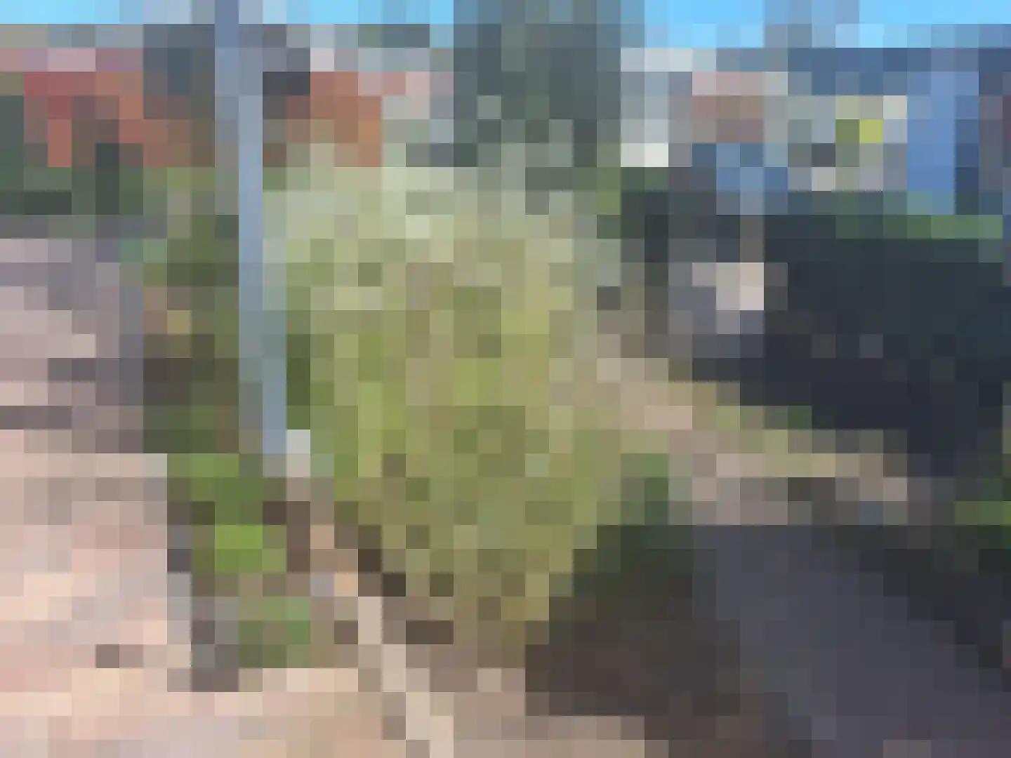 Dorperheideweg 34 2135 Arcen thumbnail 10