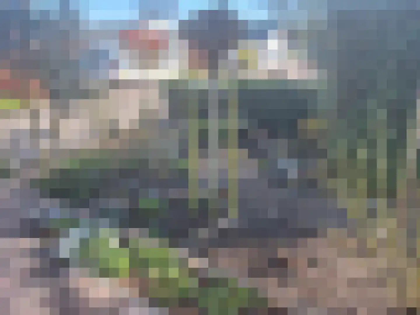 Dorperheideweg 34 2135 Arcen thumbnail 13