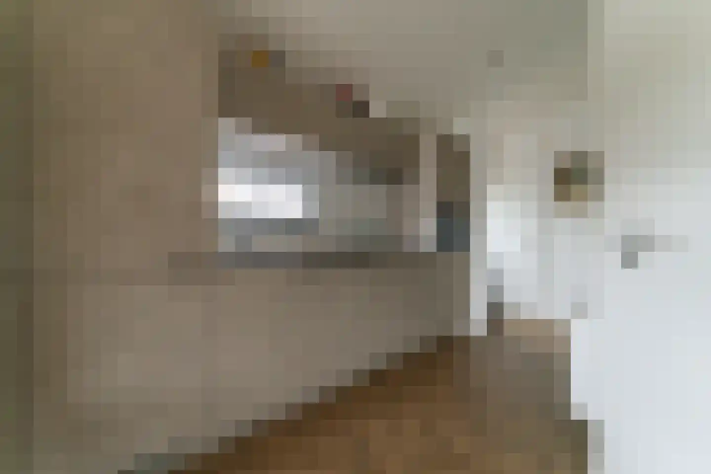 Dorperheideweg 34 2135 Arcen thumbnail 17