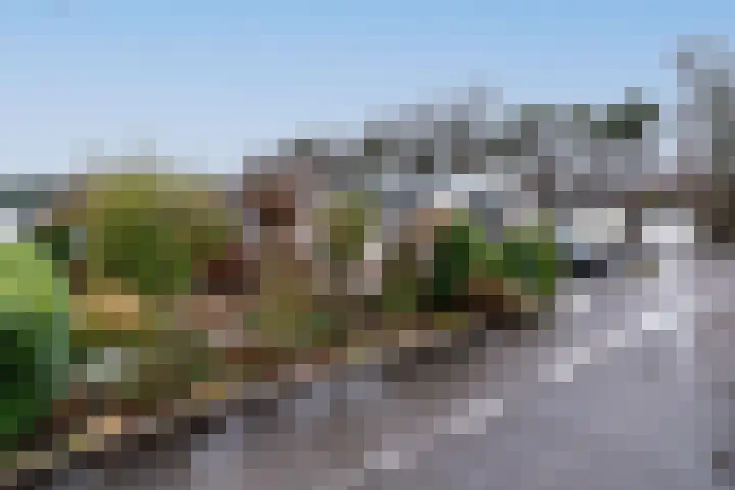 Dorperheideweg 34 2135 Arcen thumbnail 4