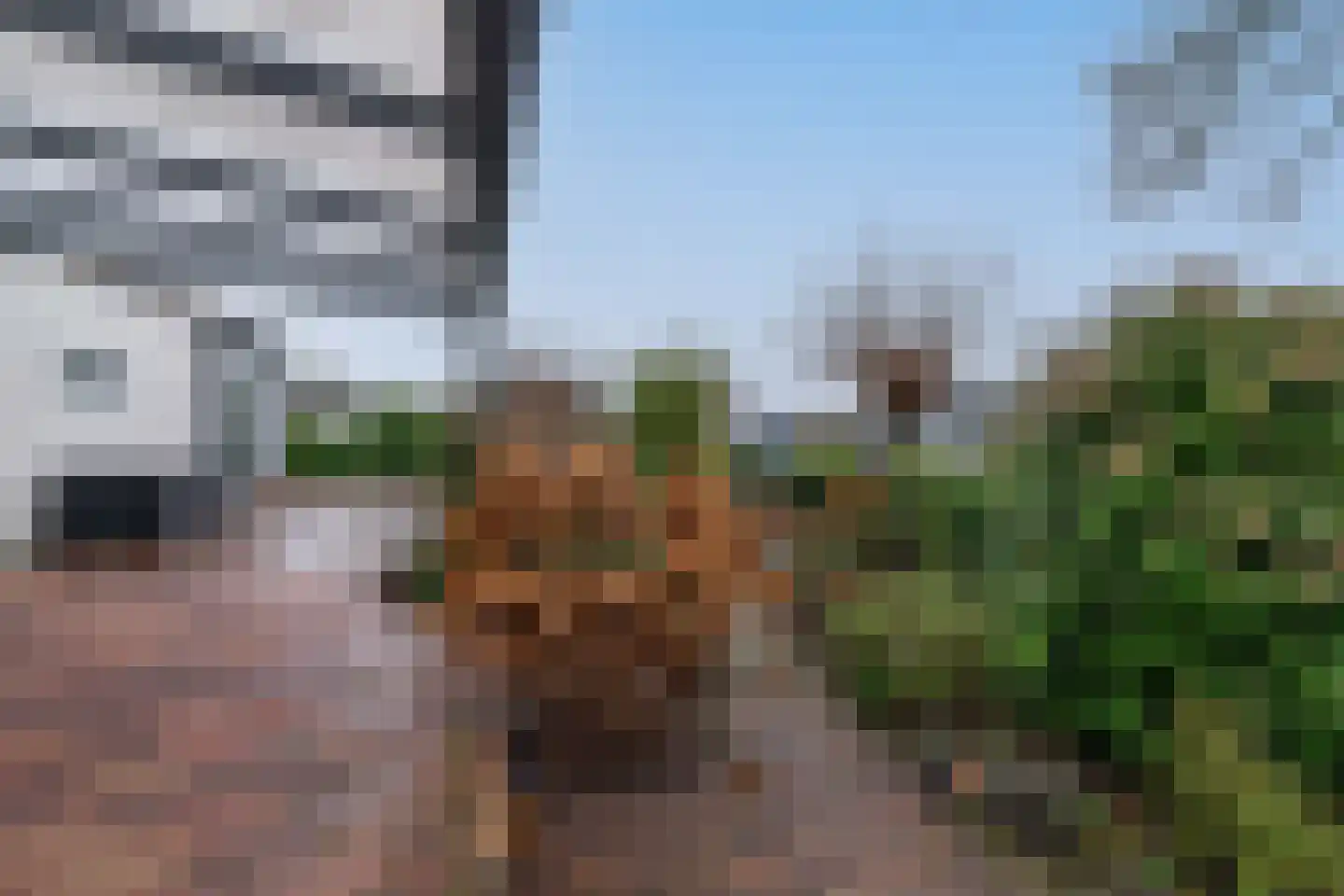 Dorperheideweg 34 2135 Arcen thumbnail 5