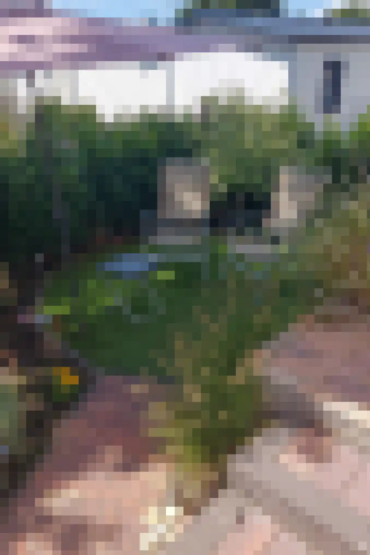 Dorperheideweg 34 2135 Arcen thumbnail 8