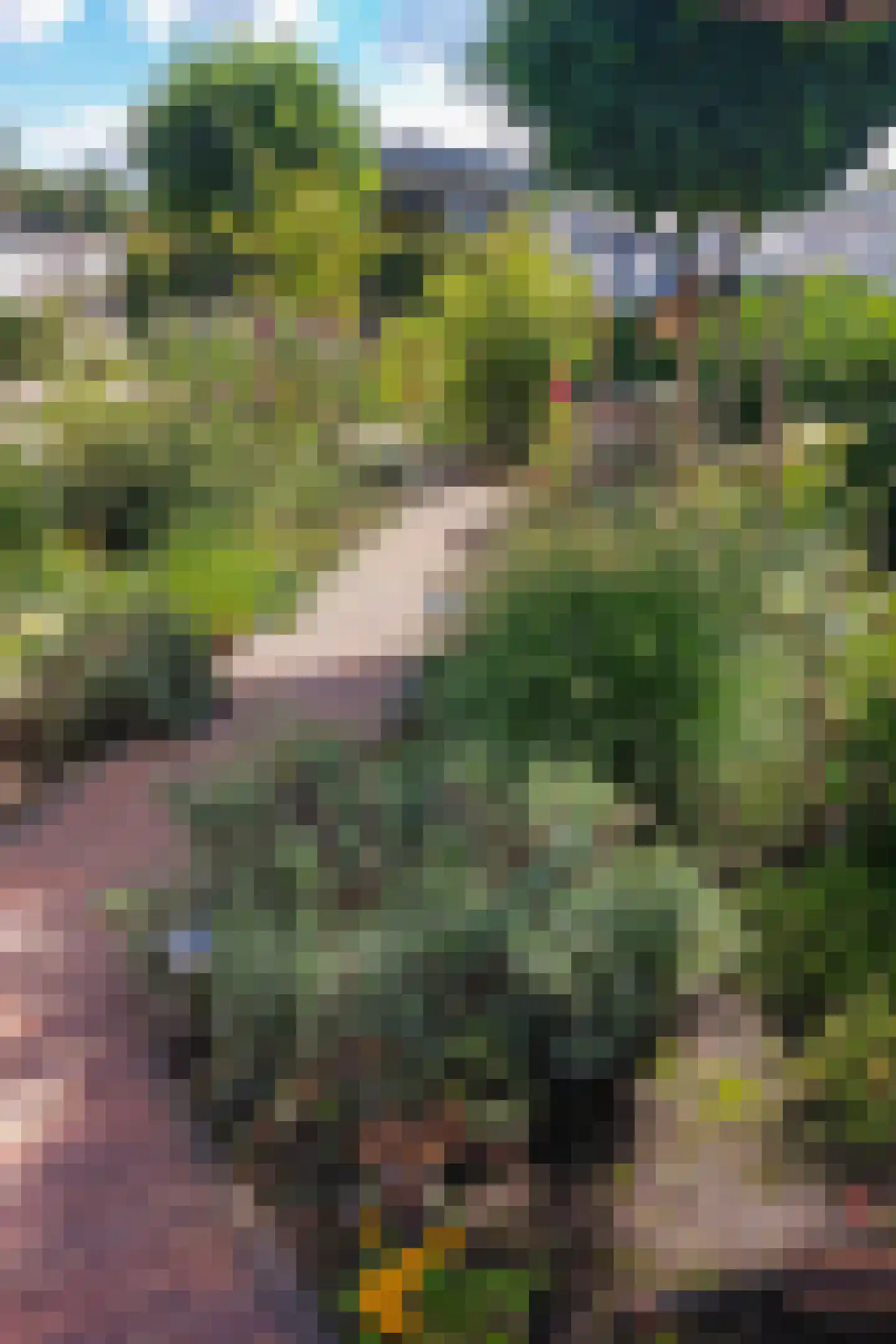 Dorperheideweg 34 2135 Arcen thumbnail 9