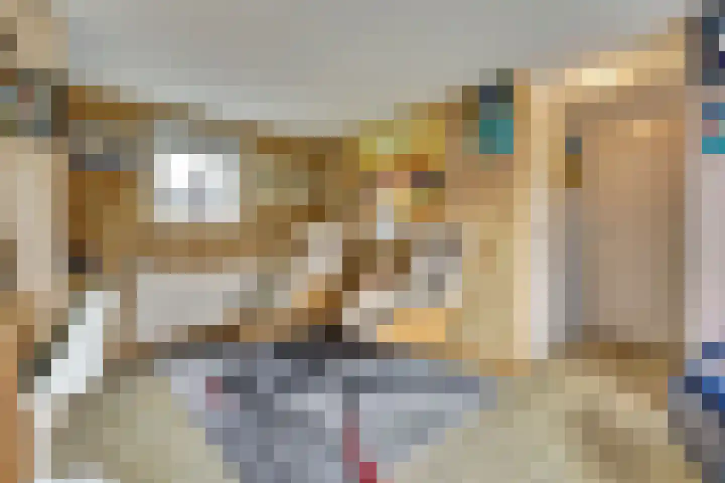 Dorperheideweg 34 2151 Arcen thumbnail 10