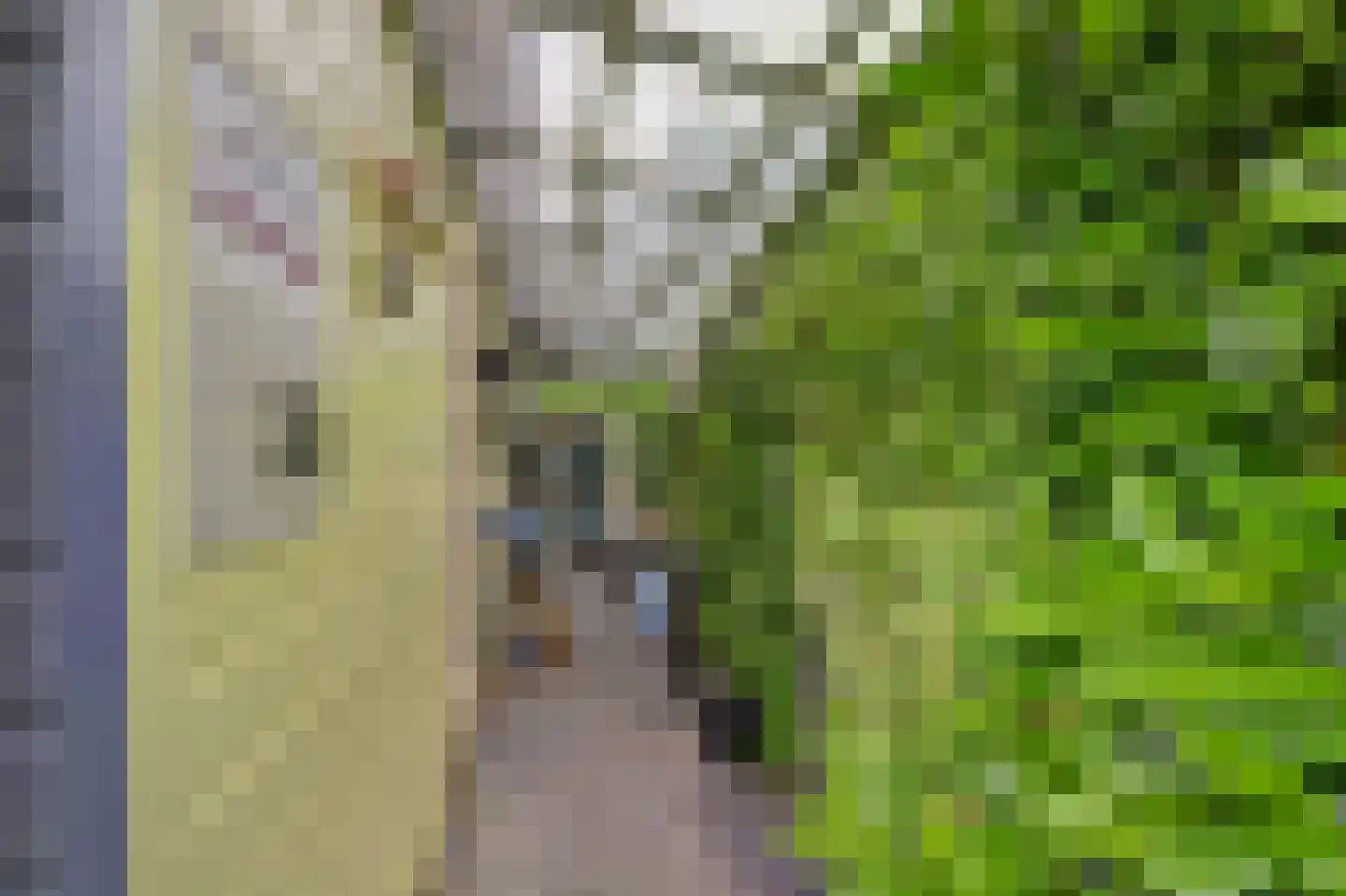 Dorperheideweg 34 2151 Arcen thumbnail 25