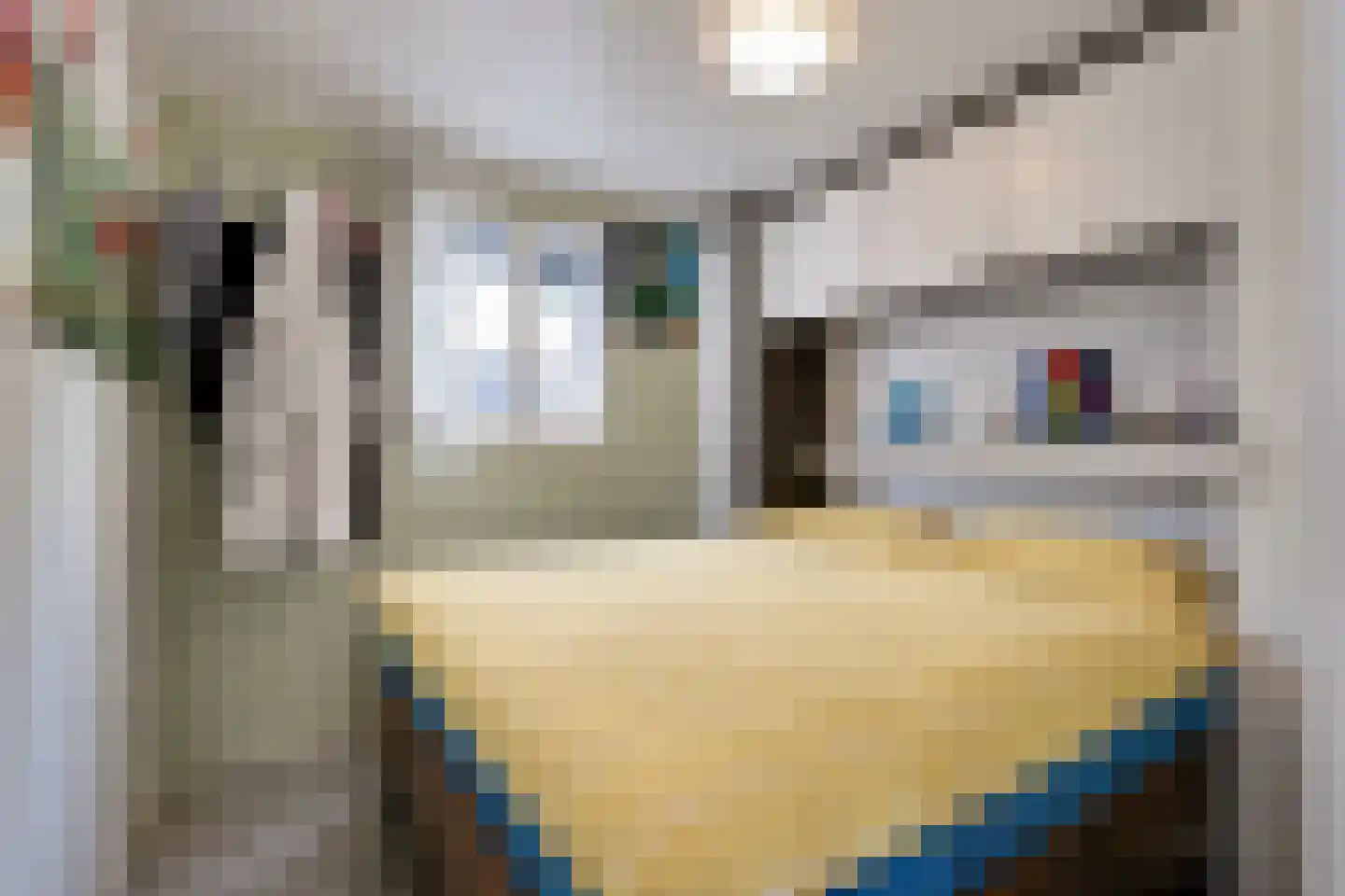 Dorperheideweg 34 2151 Arcen thumbnail 4