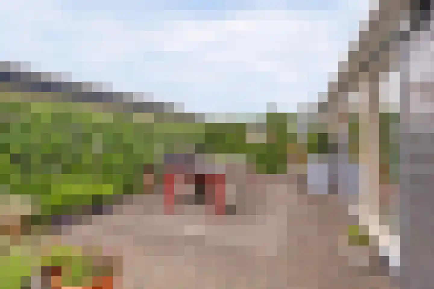 Dorperheideweg 34 2151 Arcen thumbnail 5