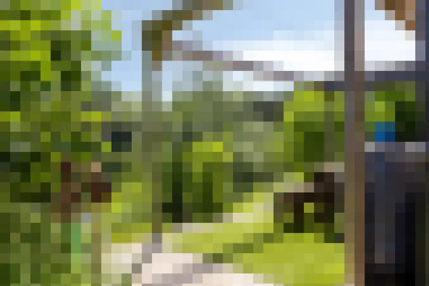 Dorperheideweg 34 2161 Arcen thumbnail 45
