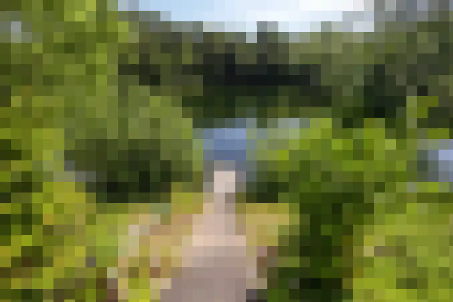 Dorperheideweg 34 2161 Arcen thumbnail 46