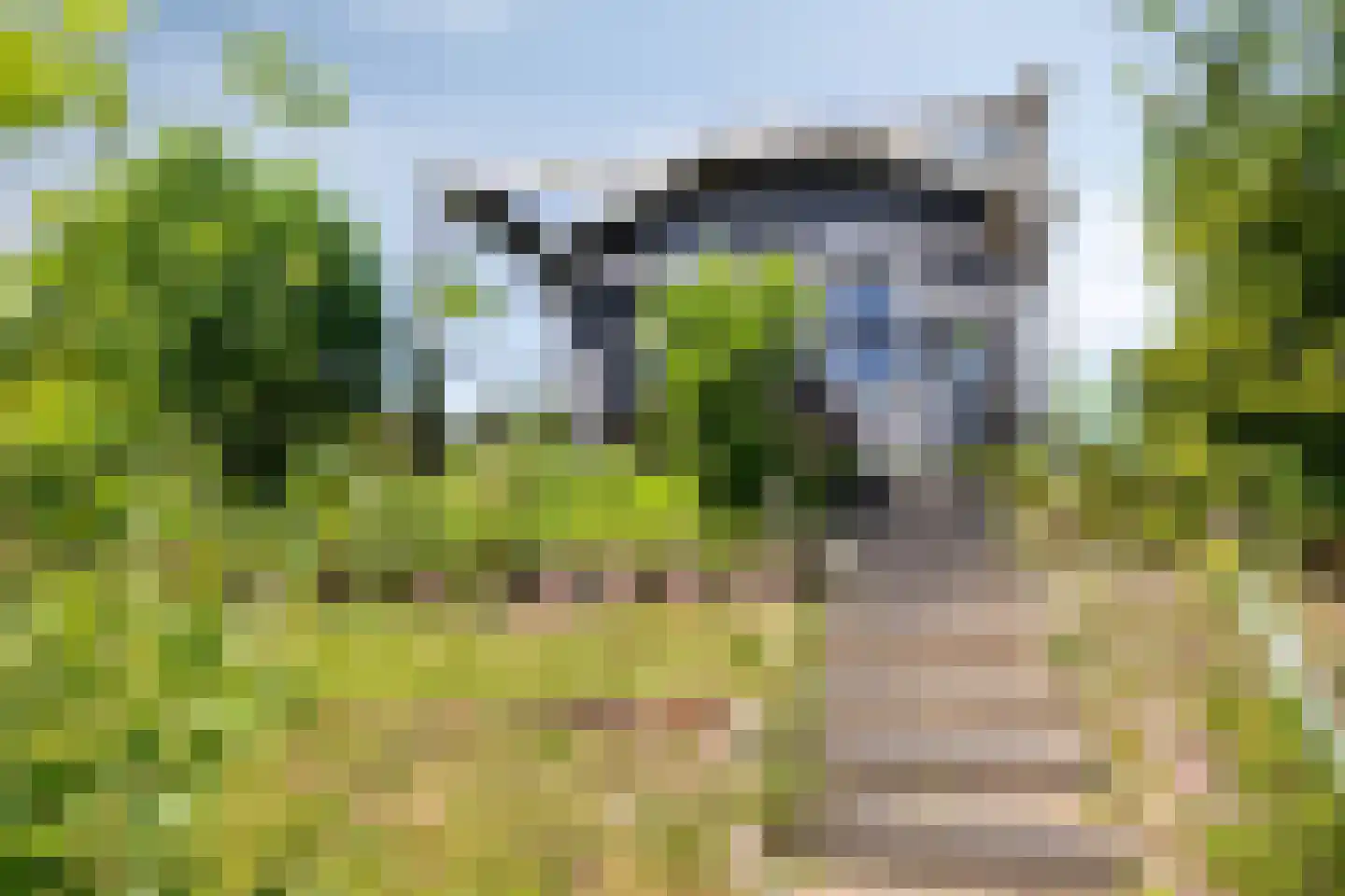 Dorperheideweg 34 2161 Arcen thumbnail 47