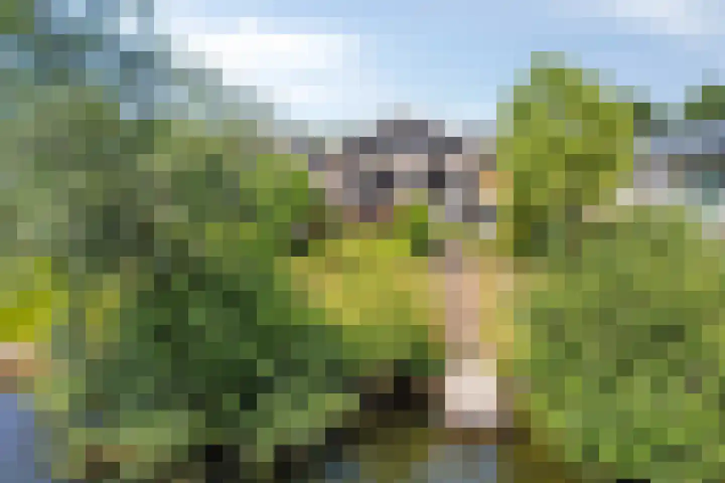 Dorperheideweg 34 2161 Arcen thumbnail 49