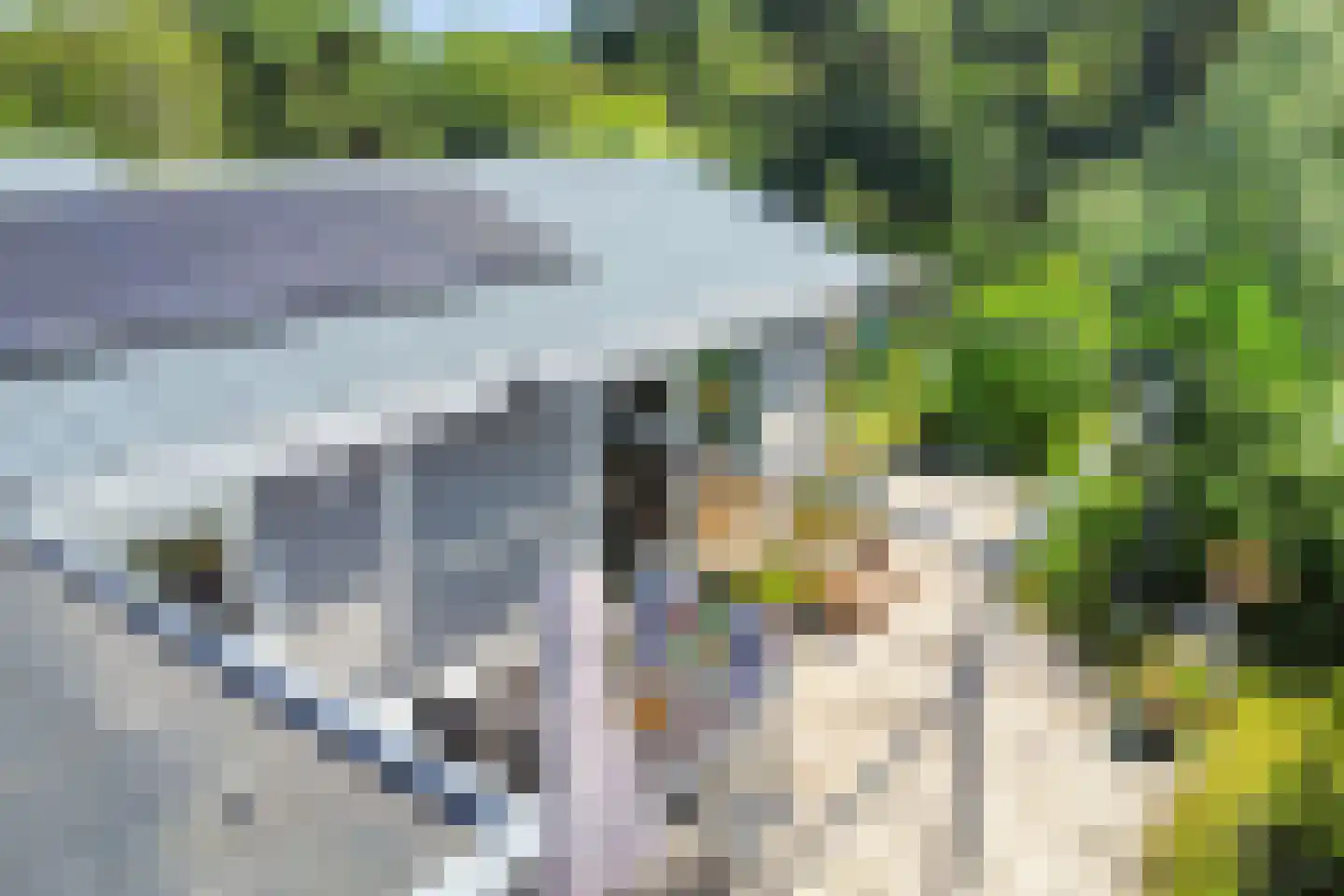 Dorperheideweg 34 2161 Arcen thumbnail 6