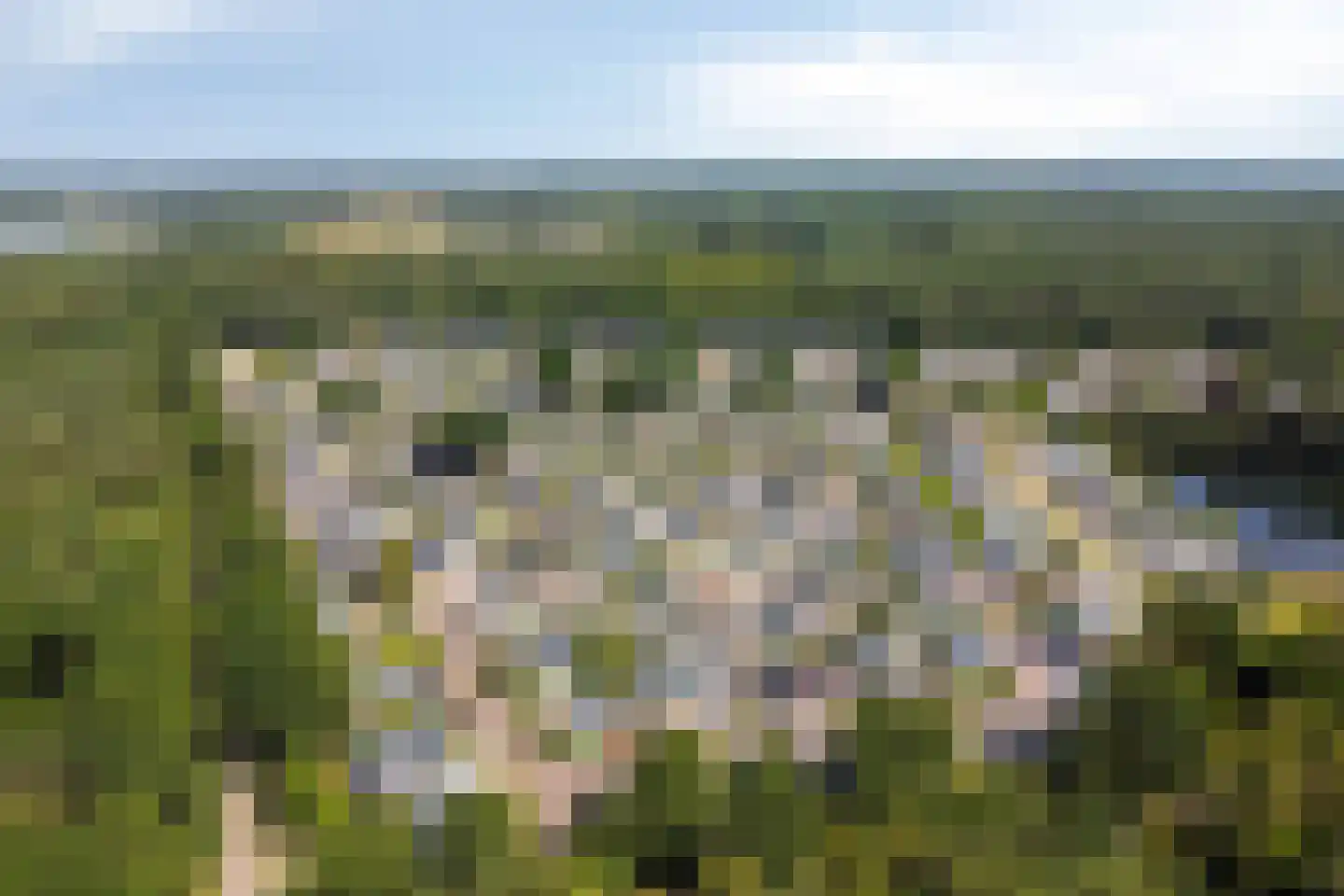 Dorperheideweg 34 2161 Arcen thumbnail 63