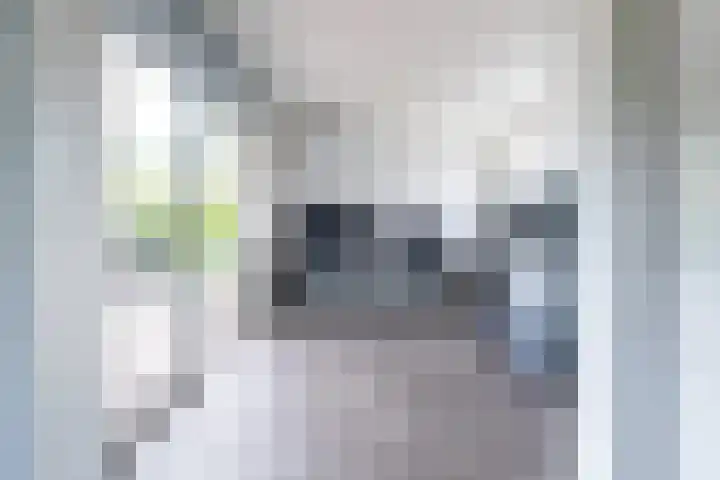 Dorperheideweg 34 2164 Arcen thumbnail 13
