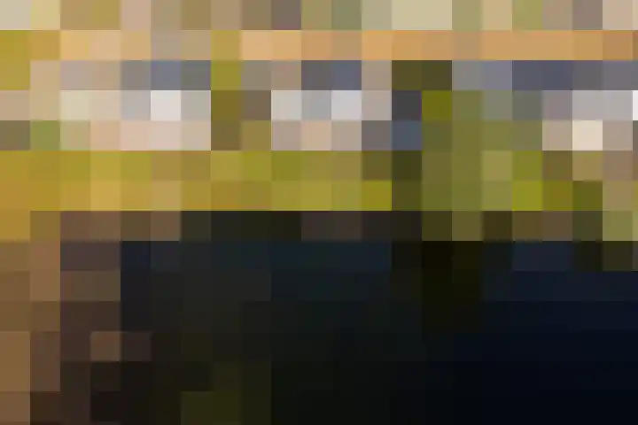 Dorperheideweg 34 2164 Arcen thumbnail 17