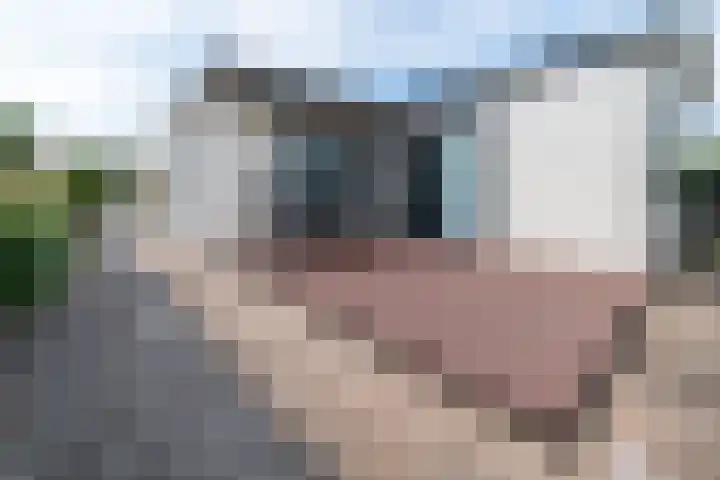 Dorperheideweg 34 2164 Arcen thumbnail 19