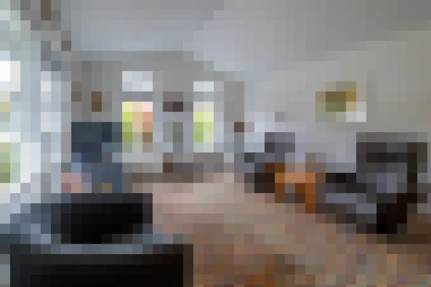 Dorperheideweg 34 2210 Arcen thumbnail 11