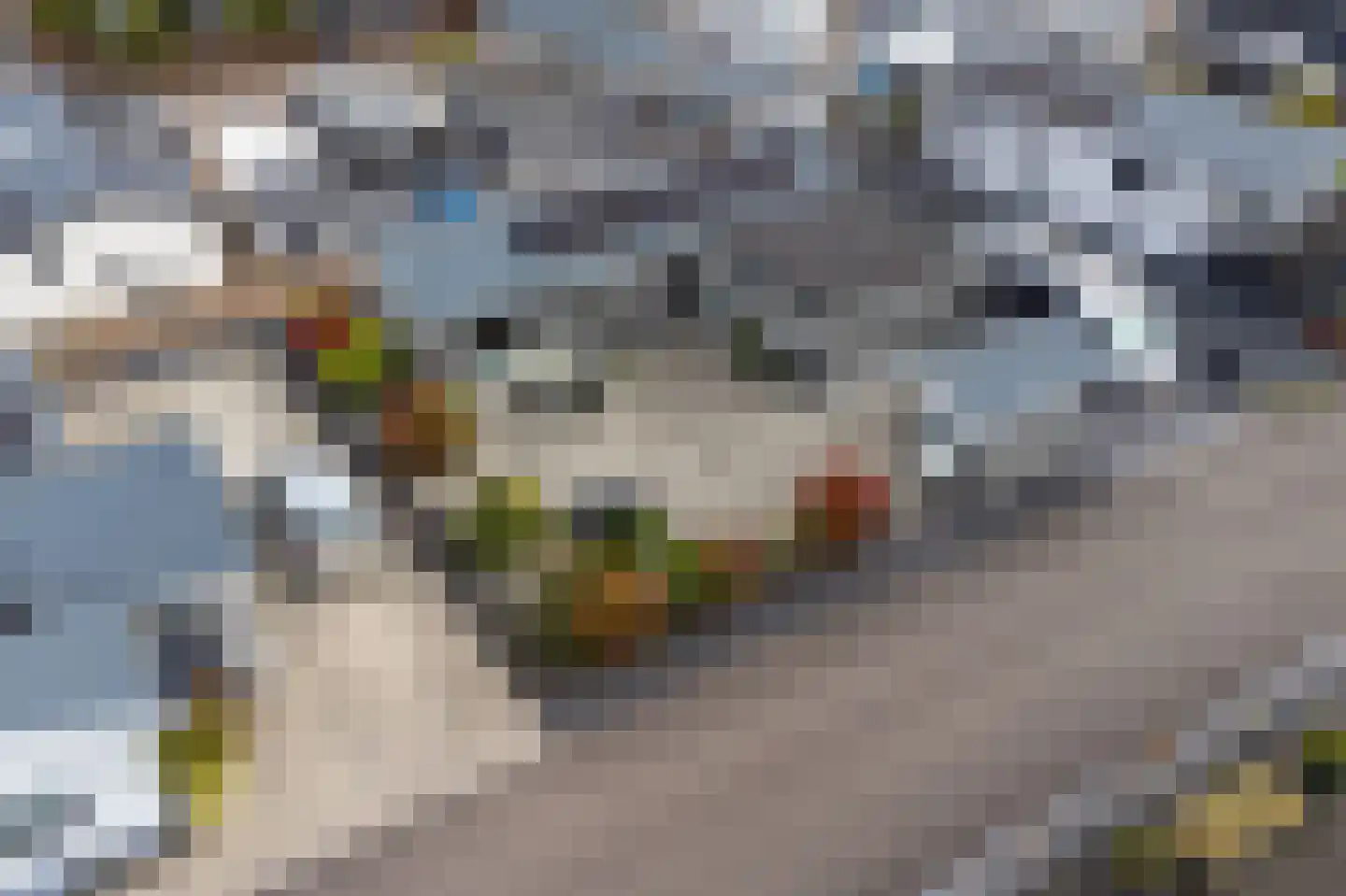Dorperheideweg 34 2210 Arcen thumbnail 22