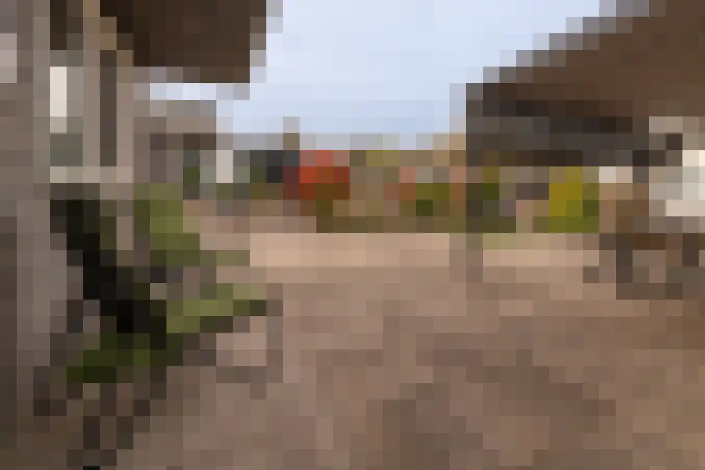 Dorperheideweg 34 2210 Arcen thumbnail 4