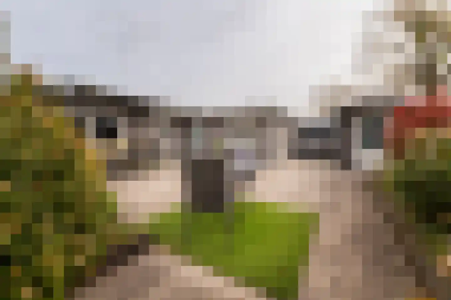 Dorperheideweg 34 2210 Arcen thumbnail 5