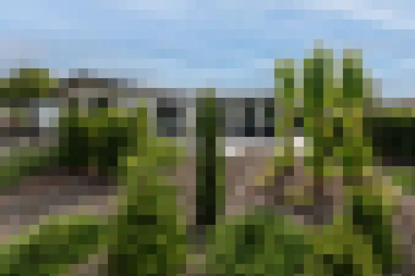 Dorperheideweg 34 2214 Arcen