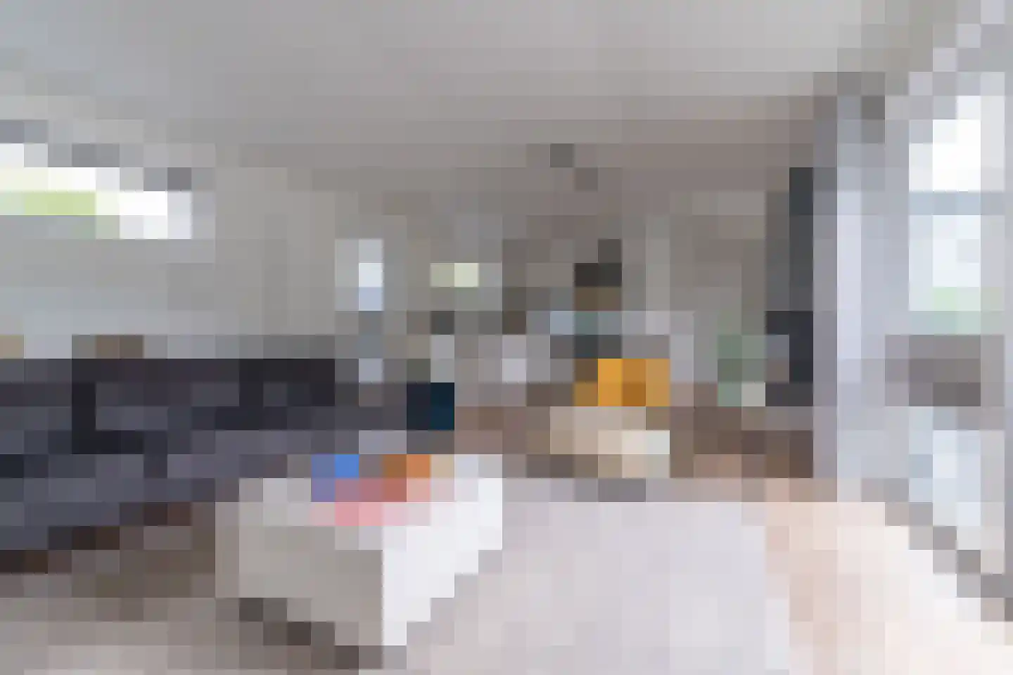 Dorperheideweg 34 2214 Arcen thumbnail 13