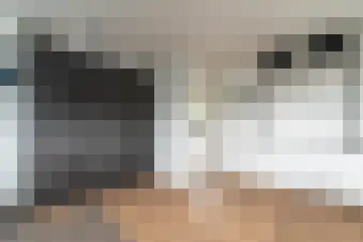 Dorperheideweg 34 2214 Arcen thumbnail 17