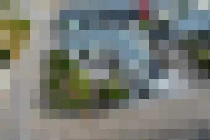 Dorperheideweg 34 2214 Arcen thumbnail 21