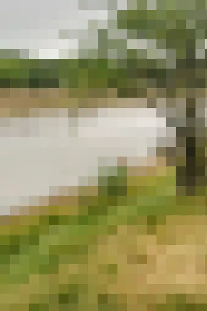 Dorperheideweg 34 2214 Arcen thumbnail 23