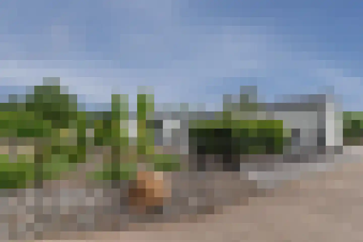 Dorperheideweg 34 2214 Arcen thumbnail 4