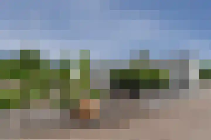 Dorperheideweg 34 2214 Arcen thumbnail 4