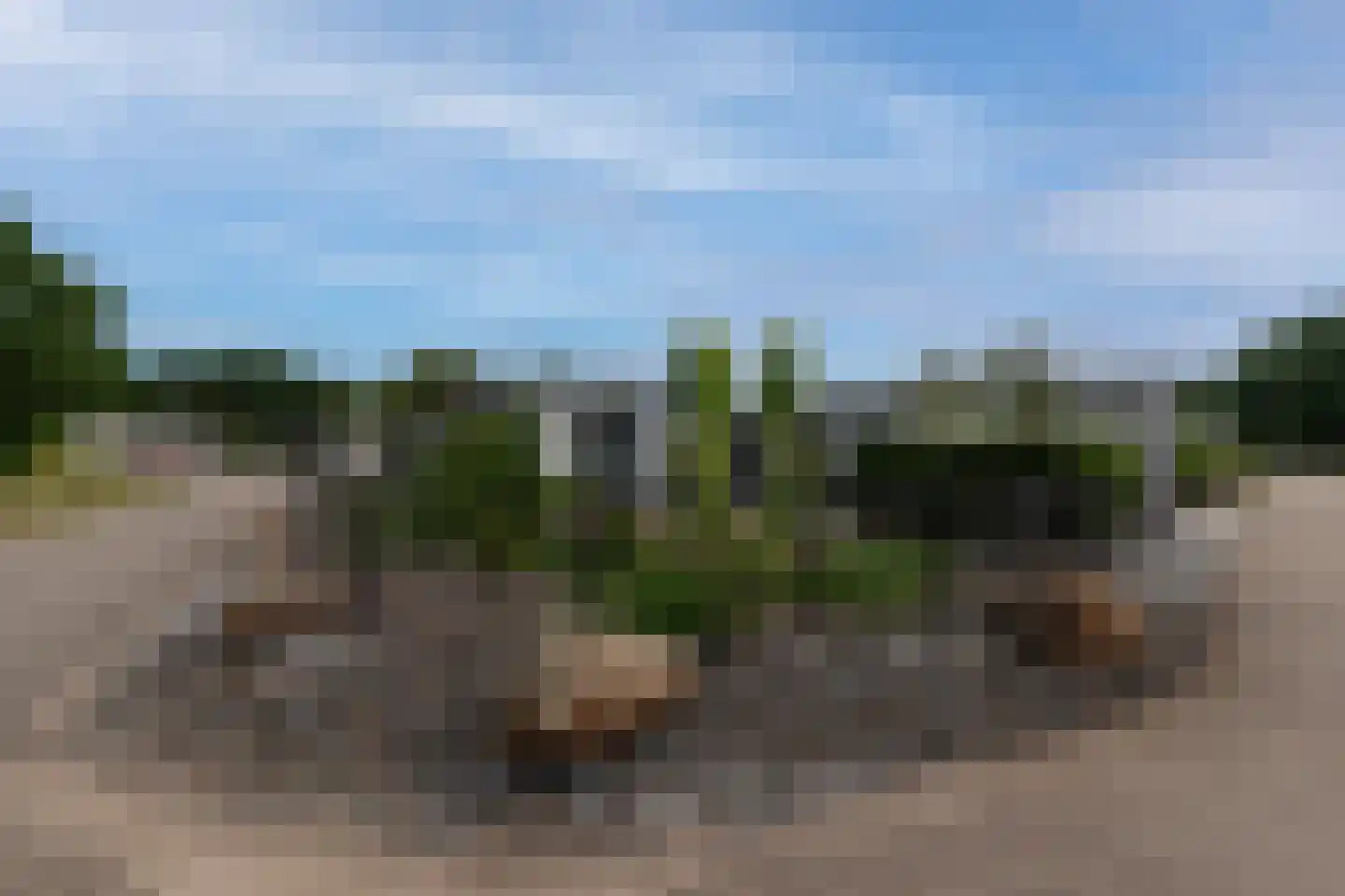 Dorperheideweg 34 2214 Arcen thumbnail 5