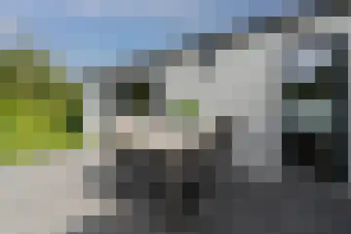 Dorperheideweg 34 2214 Arcen thumbnail 7