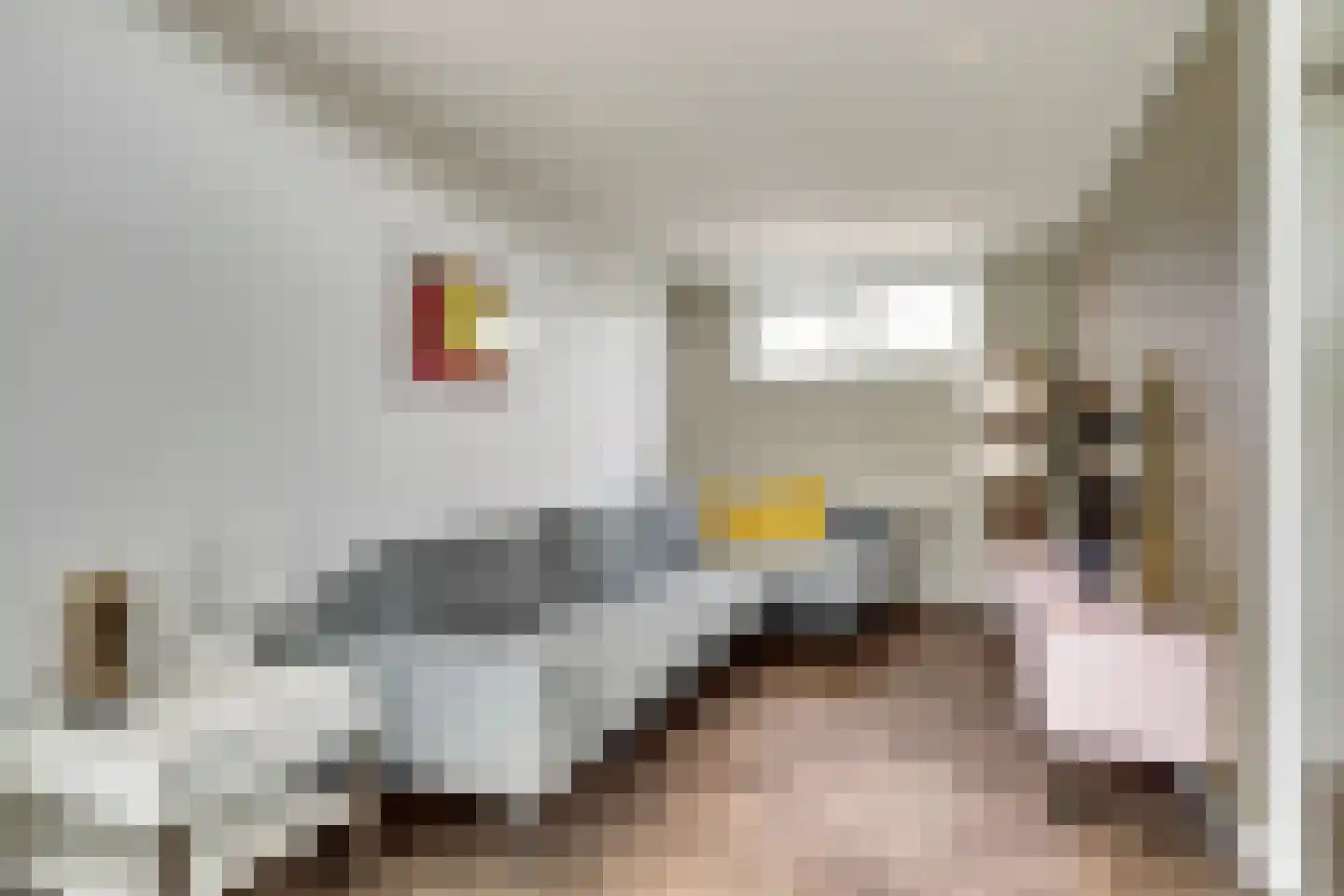 Dorperheideweg 34 2217 Arcen thumbnail 10