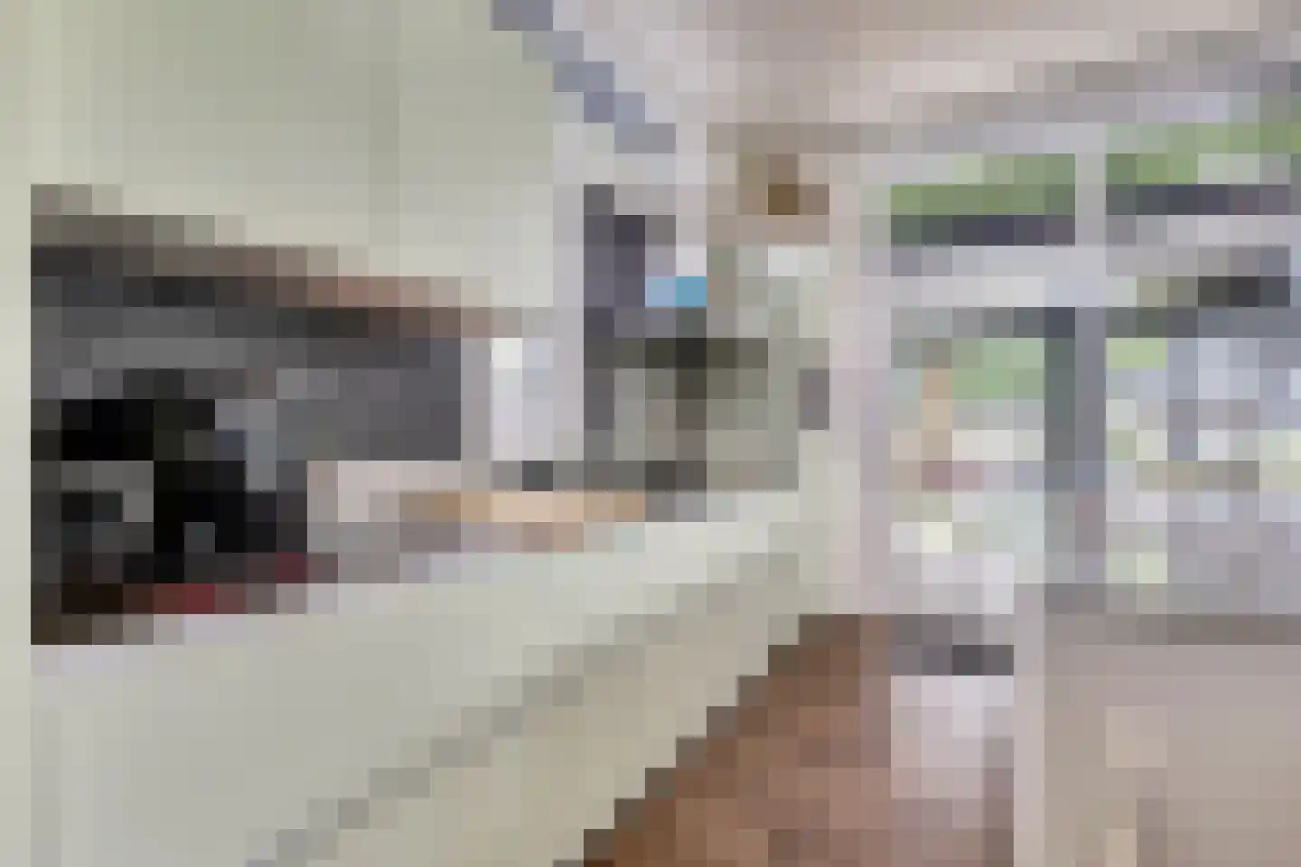 Dorperheideweg 34 2217 Arcen thumbnail 12