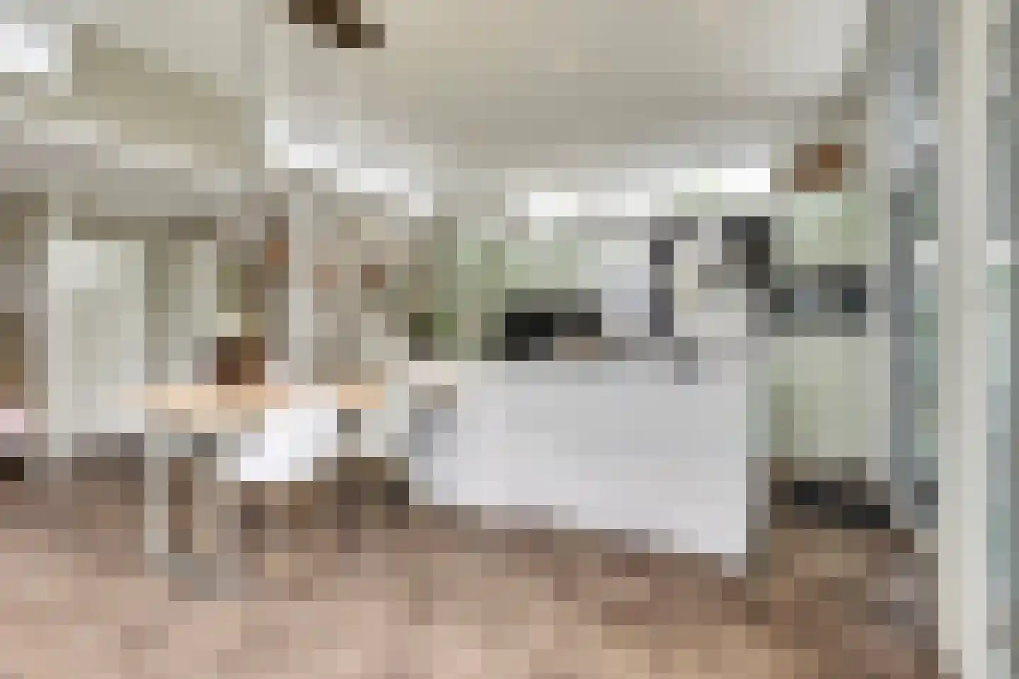 Dorperheideweg 34 2217 Arcen thumbnail 14