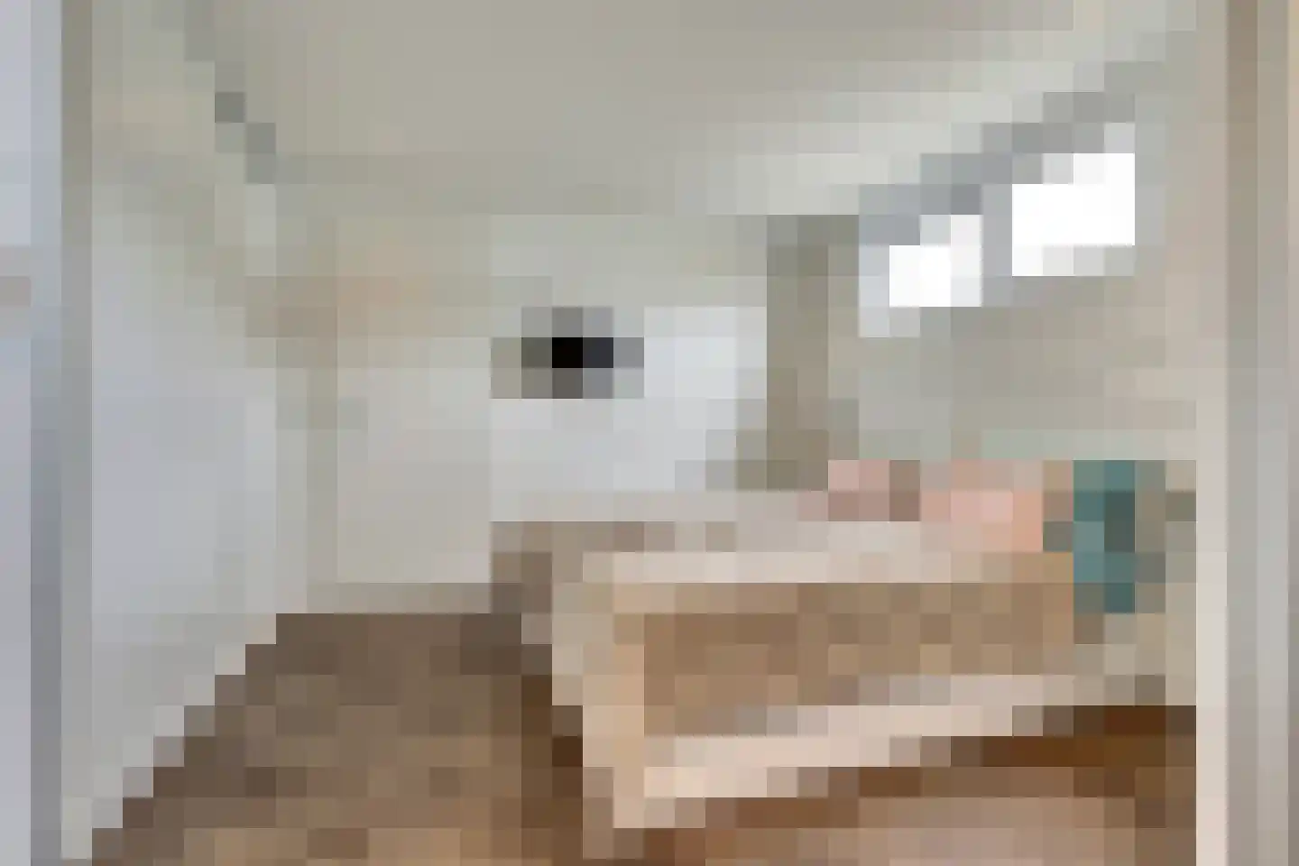 Dorperheideweg 34 2217 Arcen thumbnail 16