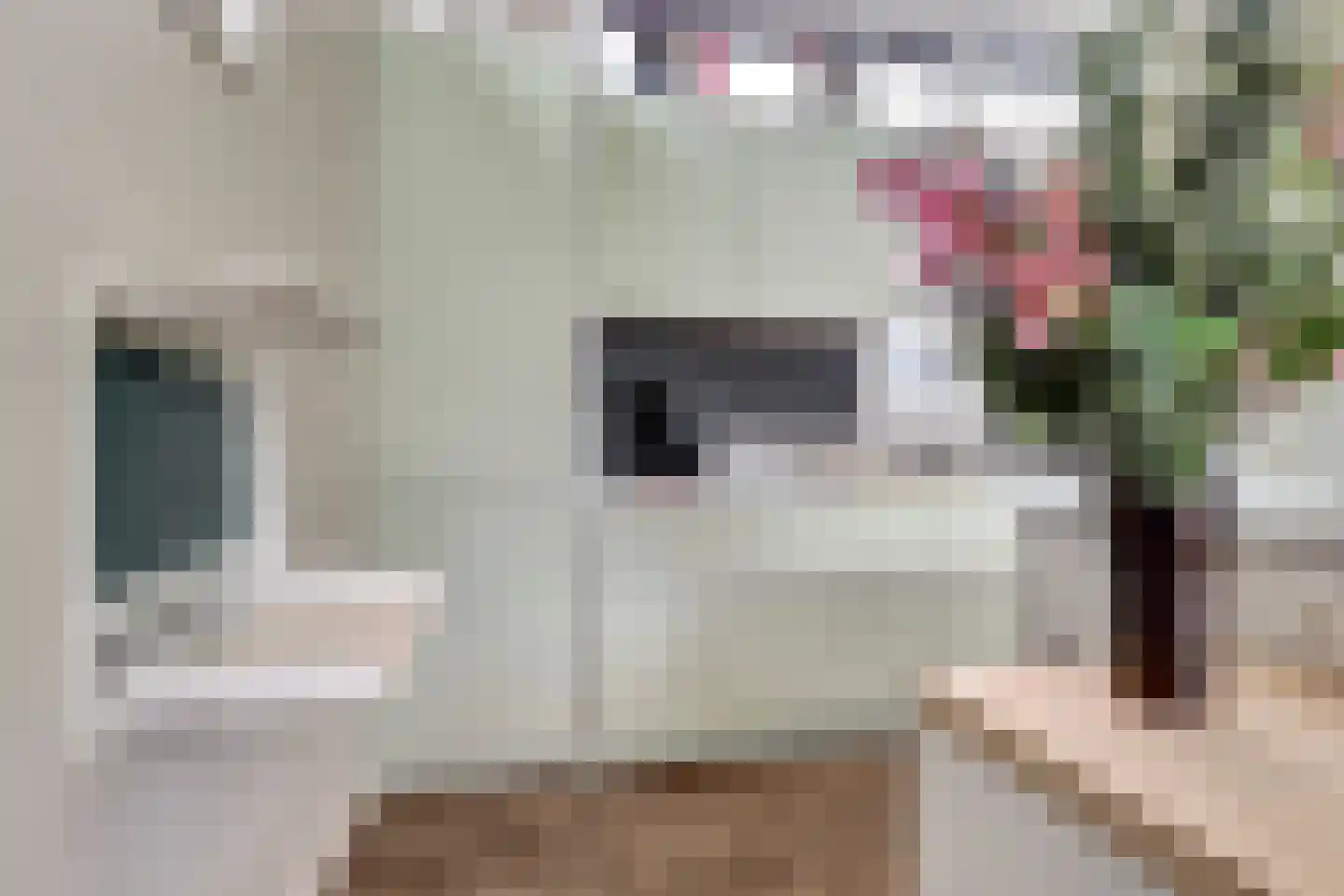 Dorperheideweg 34 2217 Arcen thumbnail 16