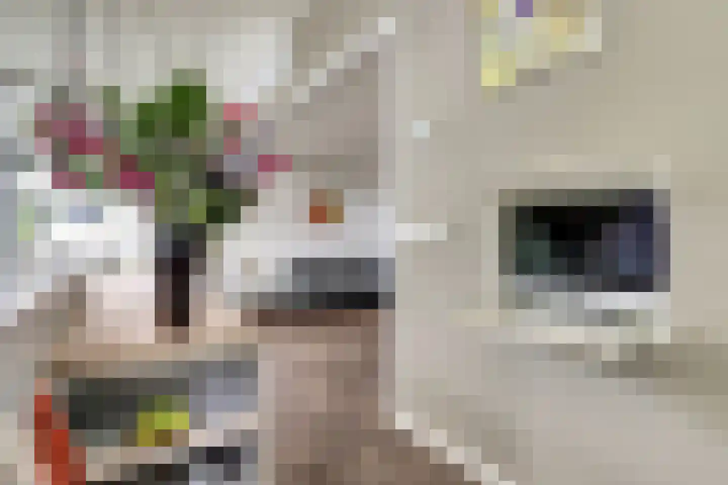 Dorperheideweg 34 2217 Arcen thumbnail 17