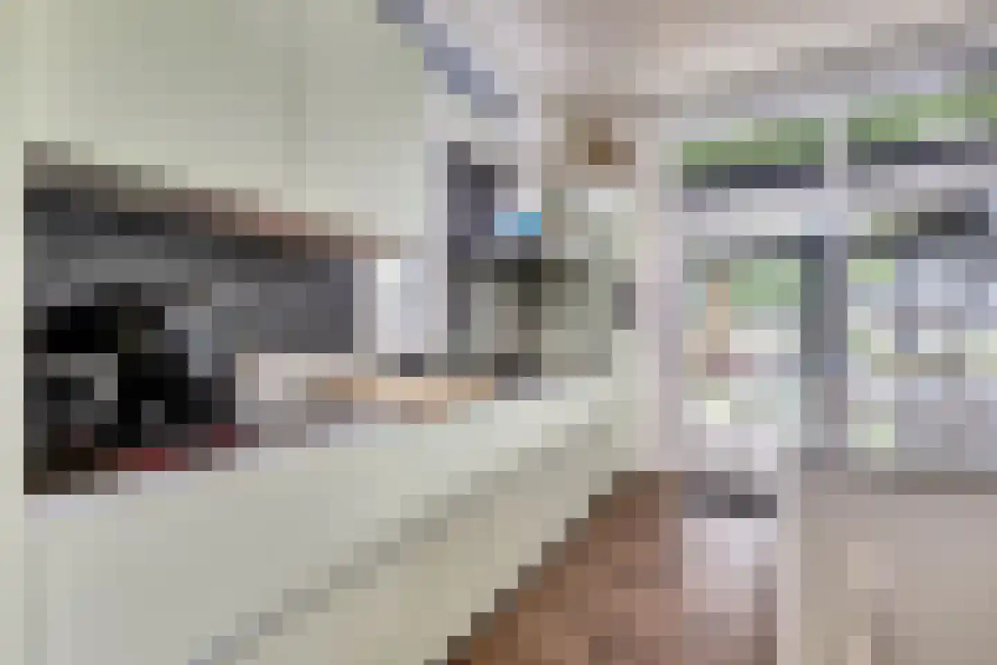 Dorperheideweg 34 2217 Arcen thumbnail 18