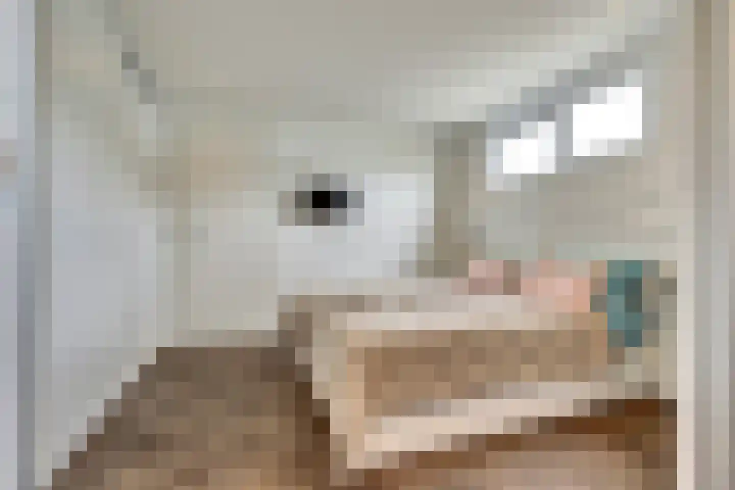 Dorperheideweg 34 2217 Arcen thumbnail 23