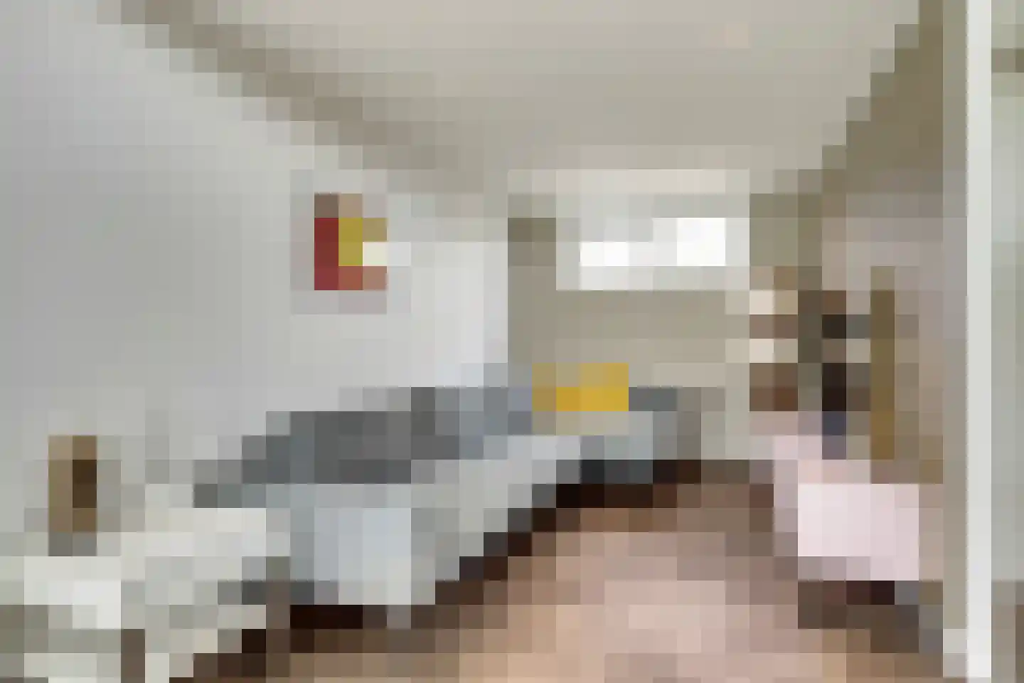 Dorperheideweg 34 2217 Arcen thumbnail 8