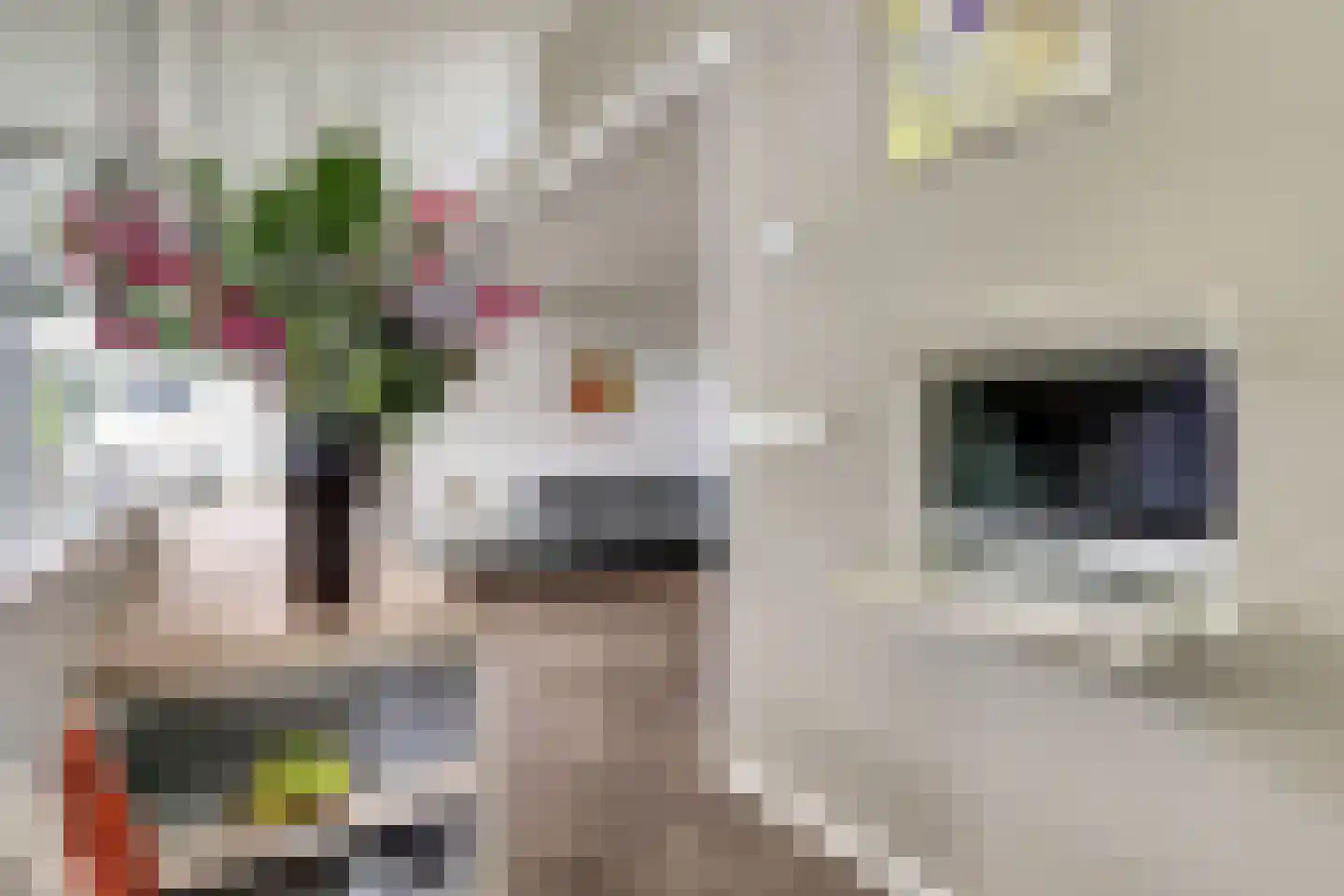 Dorperheideweg 34 2217 Arcen thumbnail 9